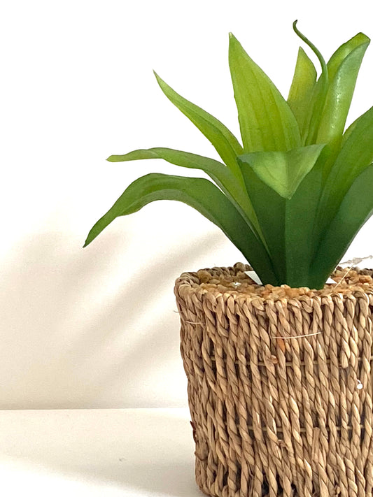 Green artificial plant in a woven basket on a white background